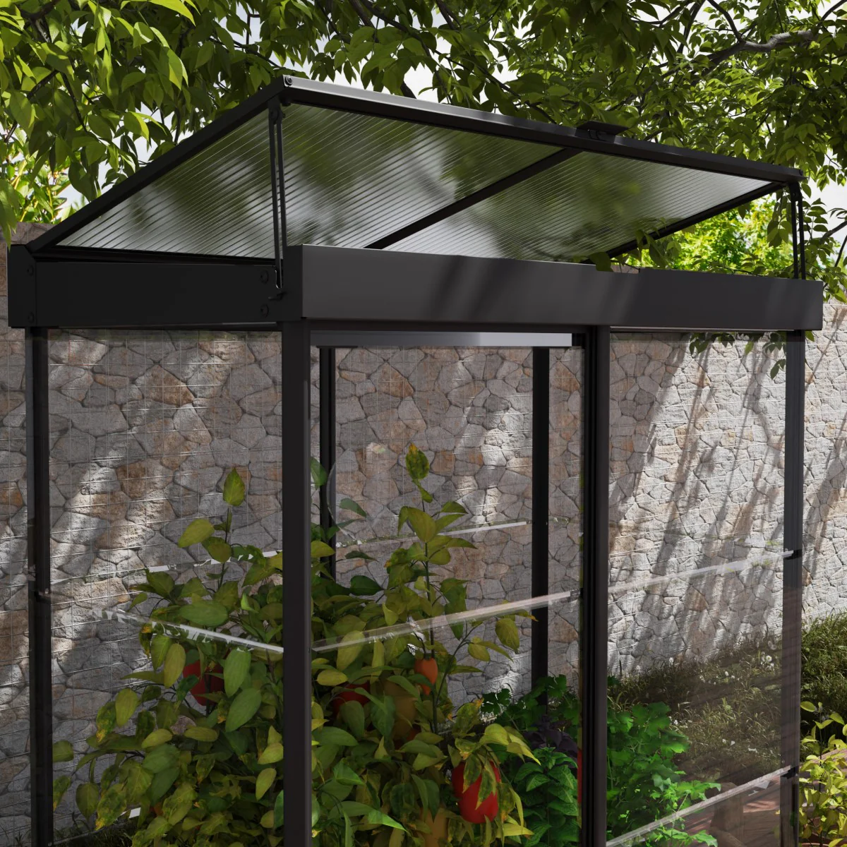 Palram - Canopia | Ivy 4x2 ft. Mini Greenhouse Kit - Black Frame with Clear Polycarbonate Glazing - Image 3