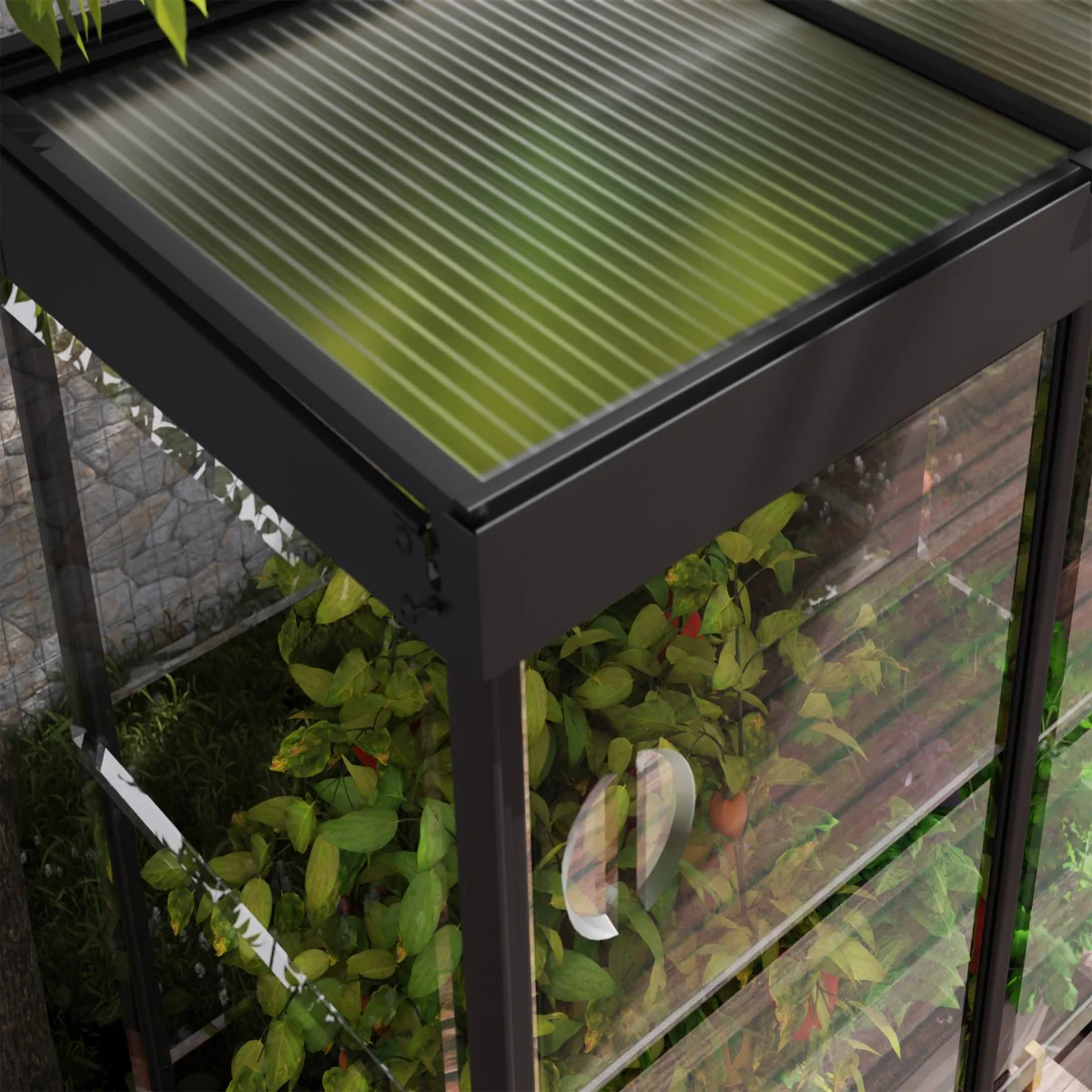 Palram - Canopia | Ivy 4x2 ft. Mini Greenhouse Kit - Black Frame with Clear Polycarbonate Glazing - Image 4