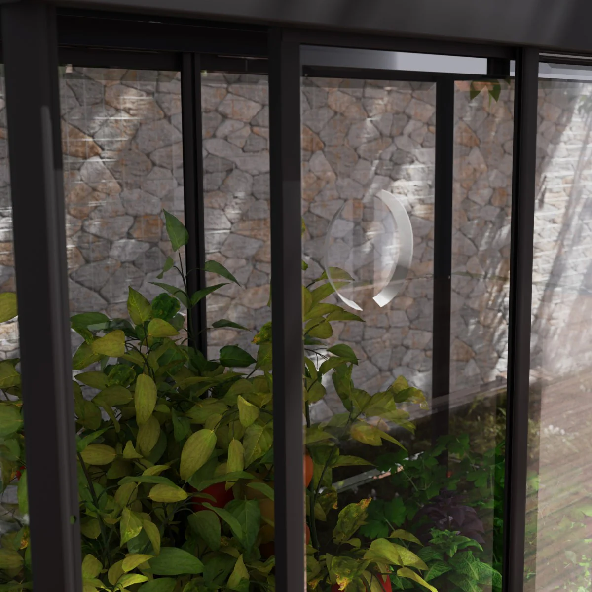 Palram - Canopia | Ivy 4x2 ft. Mini Greenhouse Kit - Black Frame with Clear Polycarbonate Glazing - Image 5