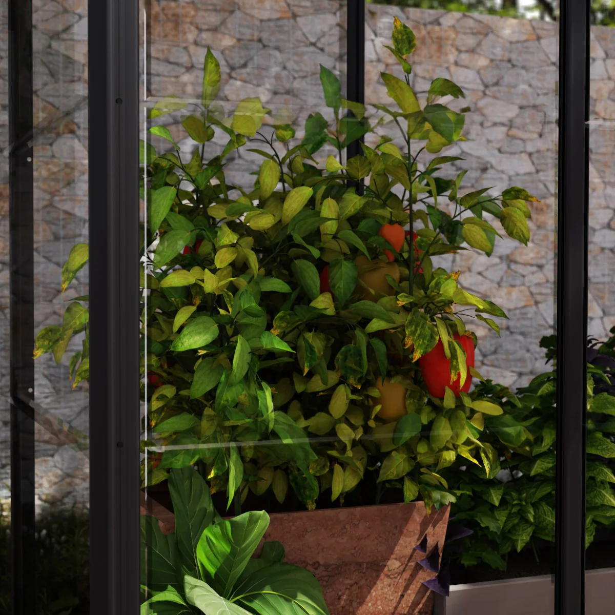 Palram - Canopia | Ivy 4x2 ft. Mini Greenhouse Kit - Black Frame with Clear Polycarbonate Glazing - Image 7