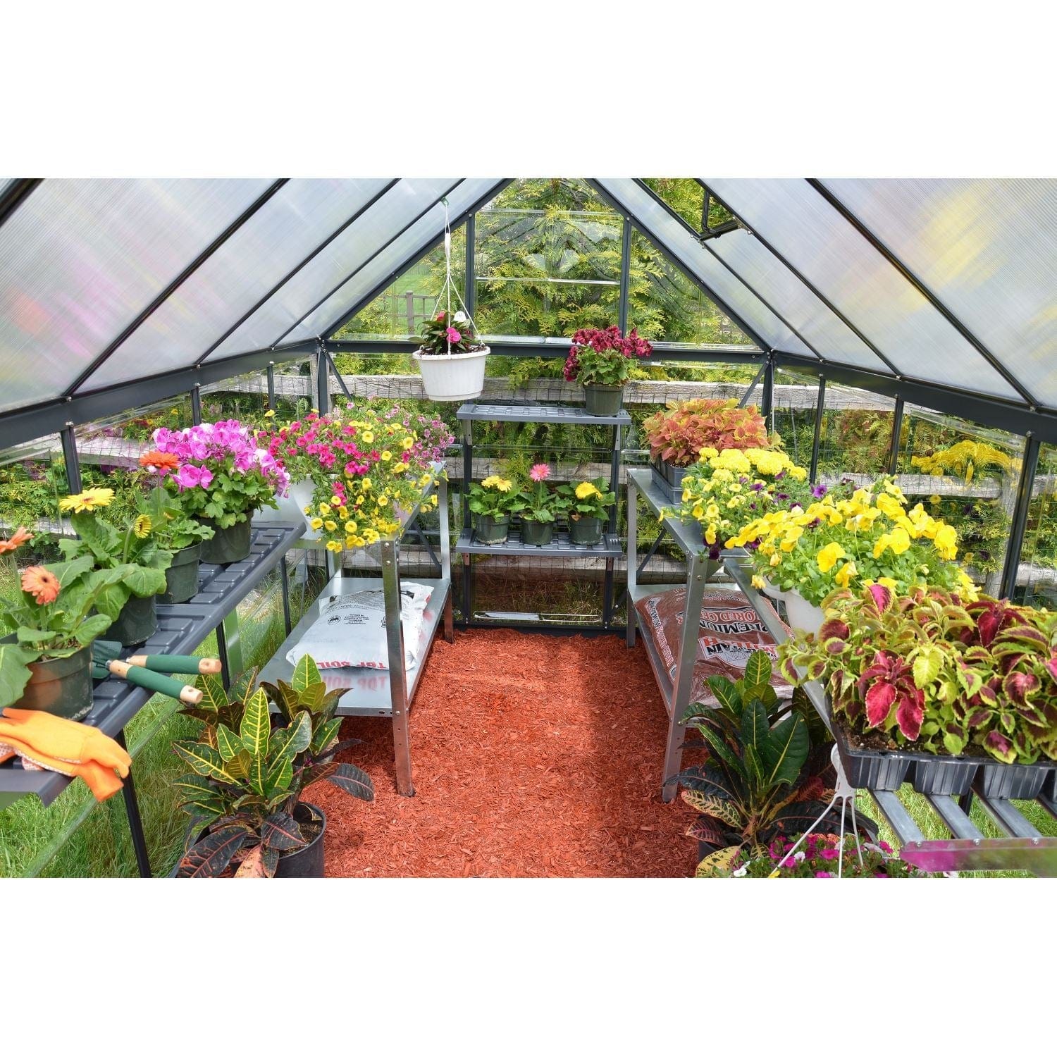 Palram - Canopia | 6x8 ft Mythos Greenhouse Kit - Gray With 4mm Twin-wall Polycarbonate Glazing - Image 9