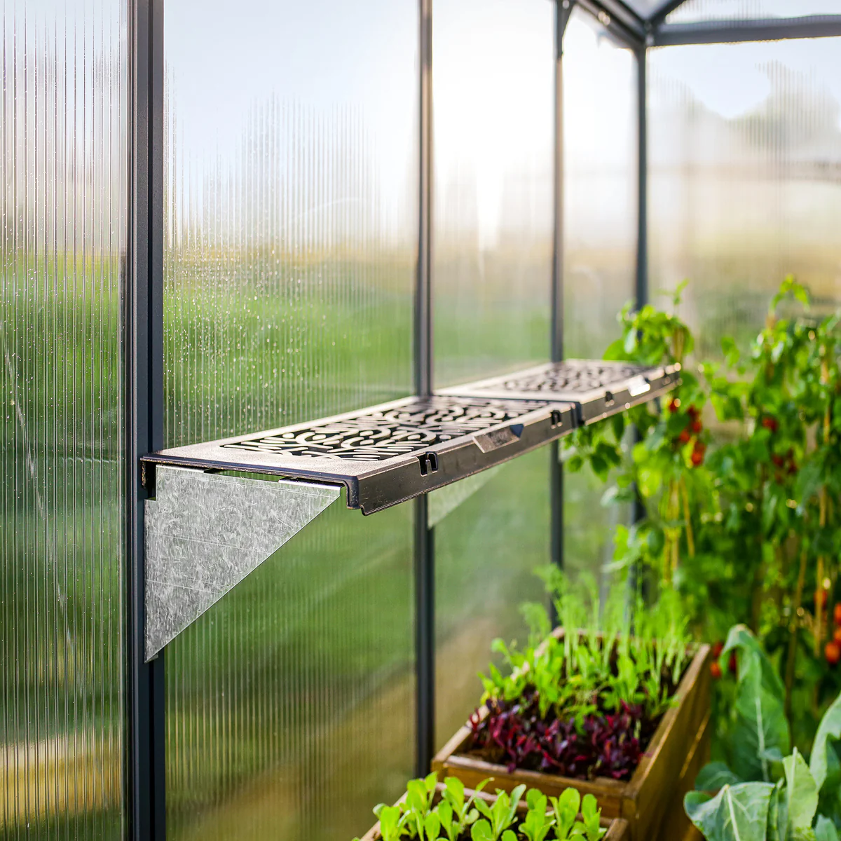Palram - Canopia | Shelf Kit for Most Canopia Greenhouses - Image 5