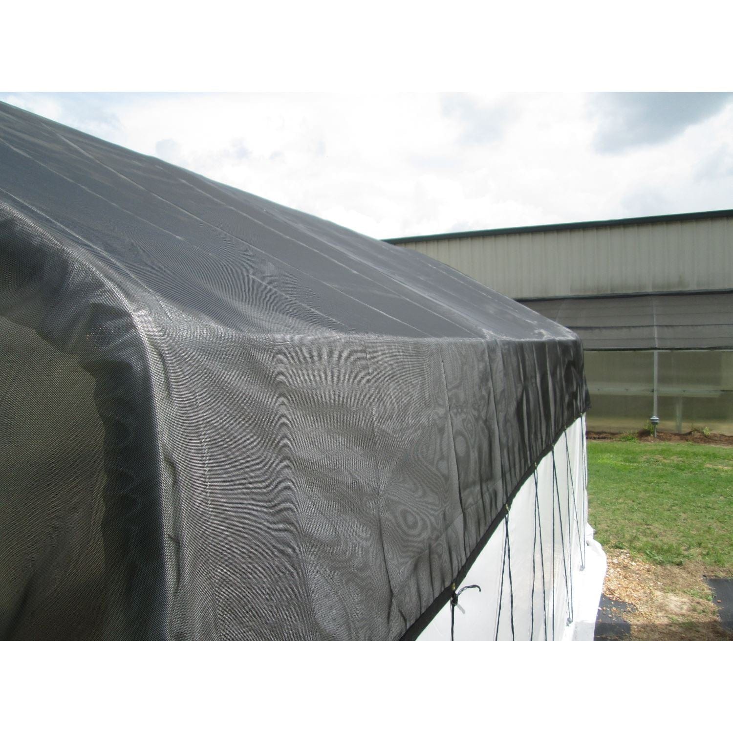 Riverstone | 10x16 ft Carver Educational Greenhouse Package, 6mm Polycarbonate Sheeting - Image 3