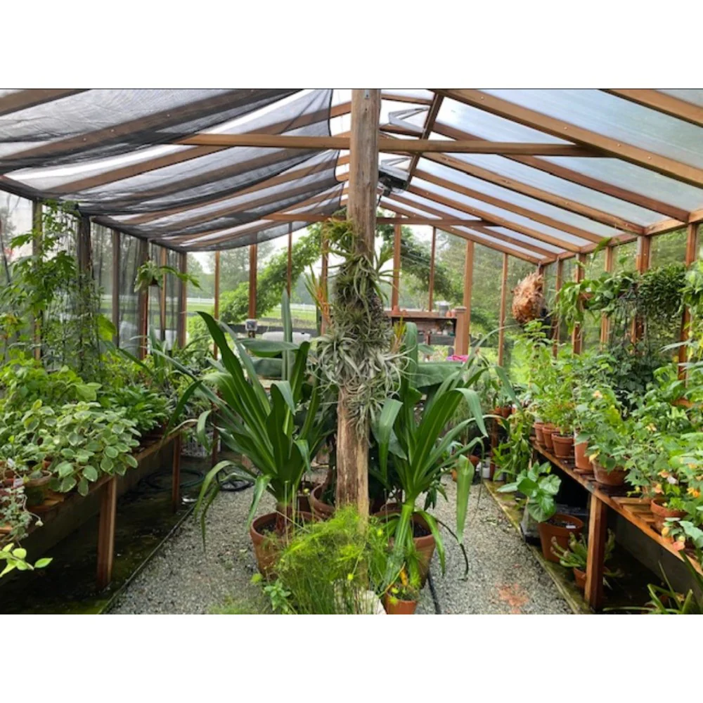 Santa Barbara | Deluxe Redwood Glass Greenhouse/Sunroom Premium Package With 3/16 inch Glass Glazing and Pre-assembled Panels - Image 24