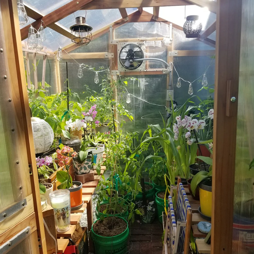 Santa Barbara | Deluxe Redwood Glass Greenhouse/Sunroom Premium Package With 3/16 inch Glass Glazing and Pre-assembled Panels - Image 27