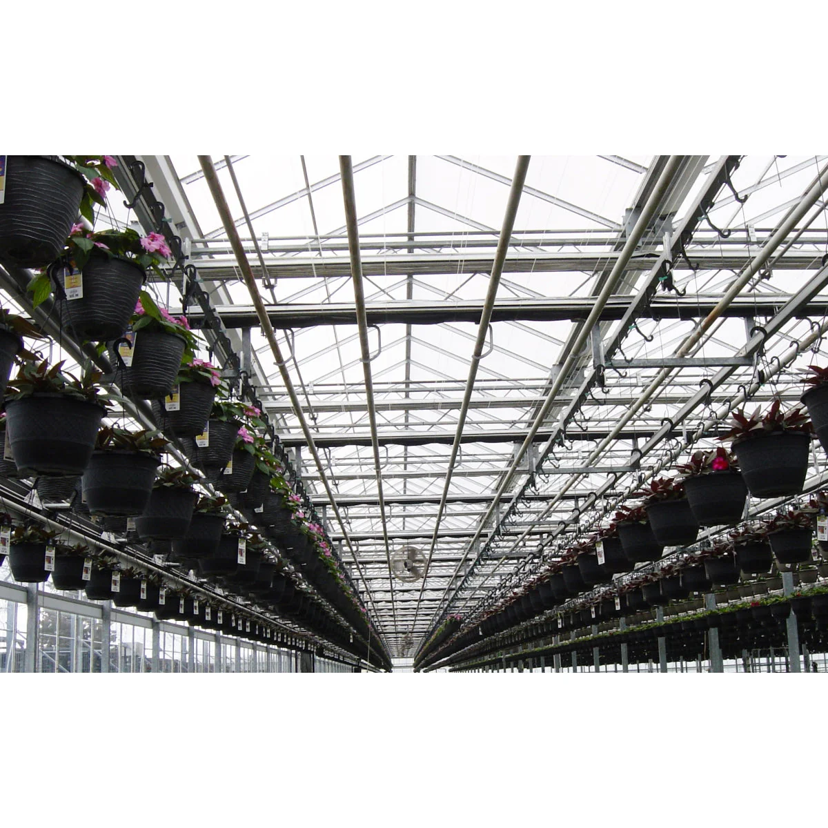 Solexx | Premium Professional Greenhouse Covering - Panels - Image 10