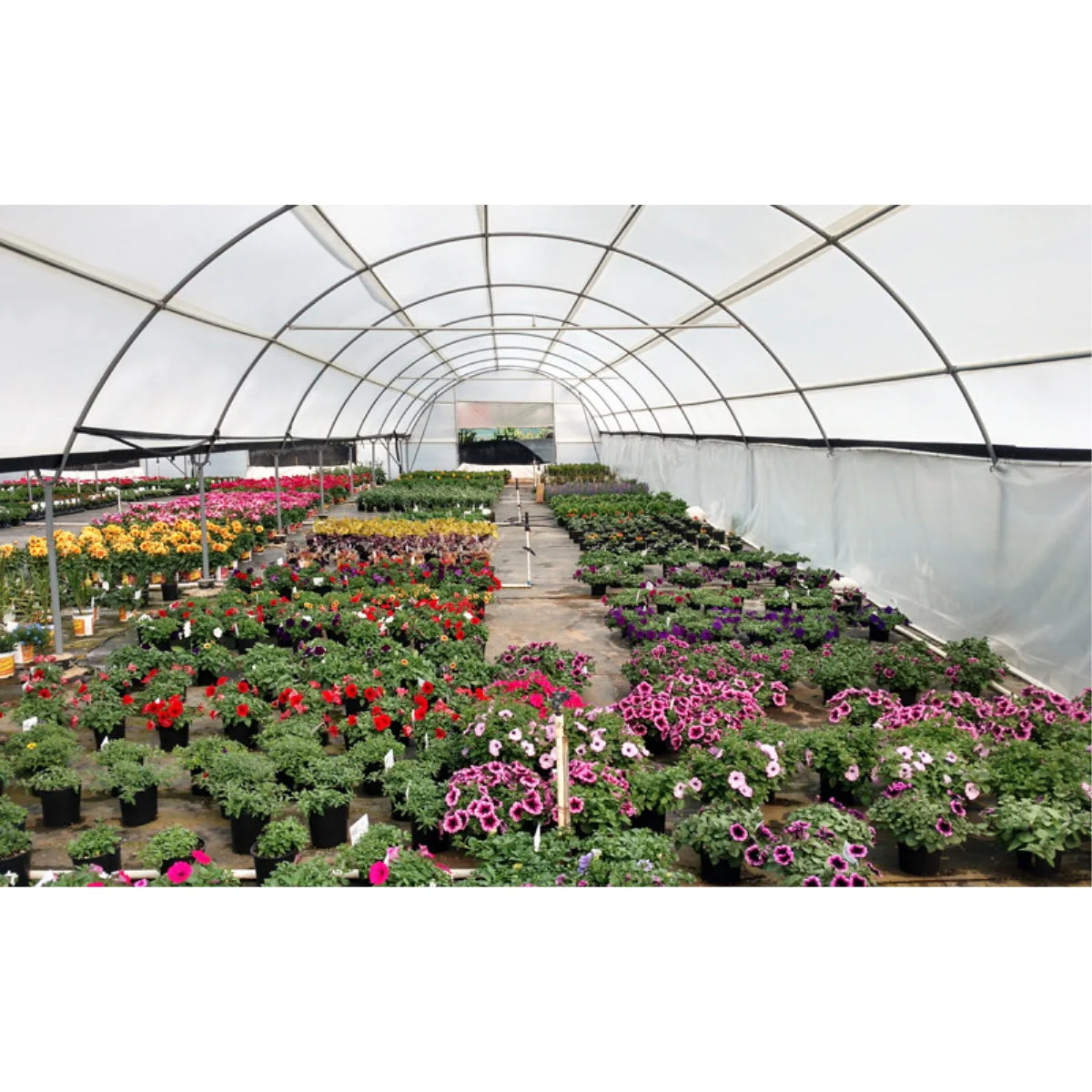 Solexx | Premium Professional Greenhouse Covering - Panels - Image 9
