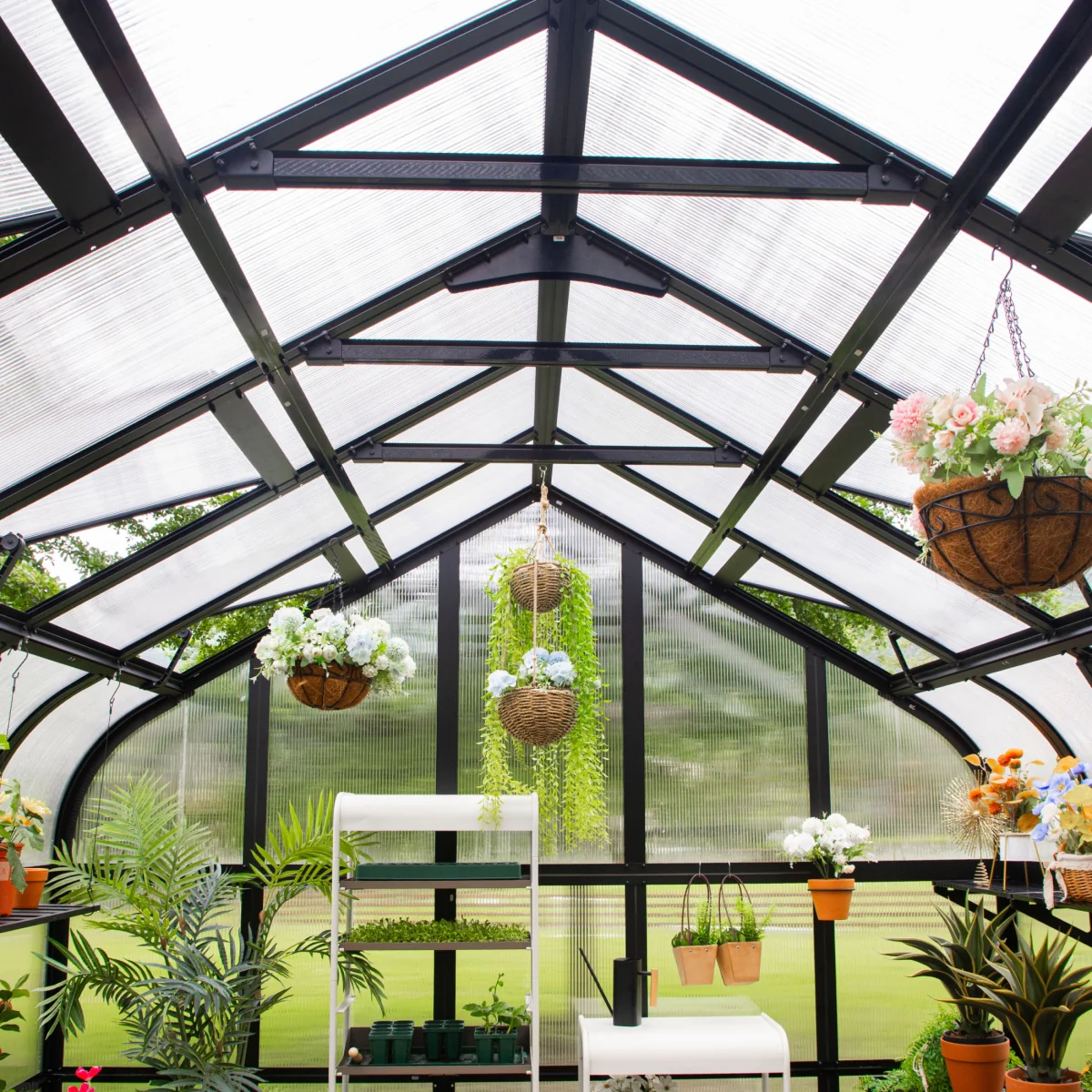 Vego | Pacific Greenhouse Kit 10ft 6in Wide - Image 5