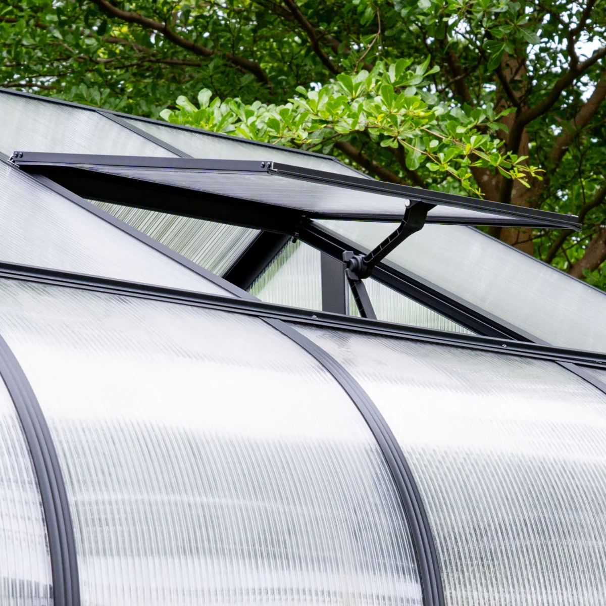 Vego | Pacific Greenhouse Kit 10ft 6in Wide - Image 8