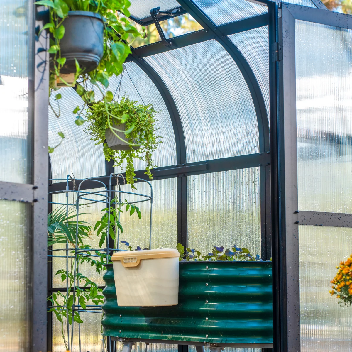 Vego | Pacific Greenhouse Kit 8ft 6in Wide - Image 8